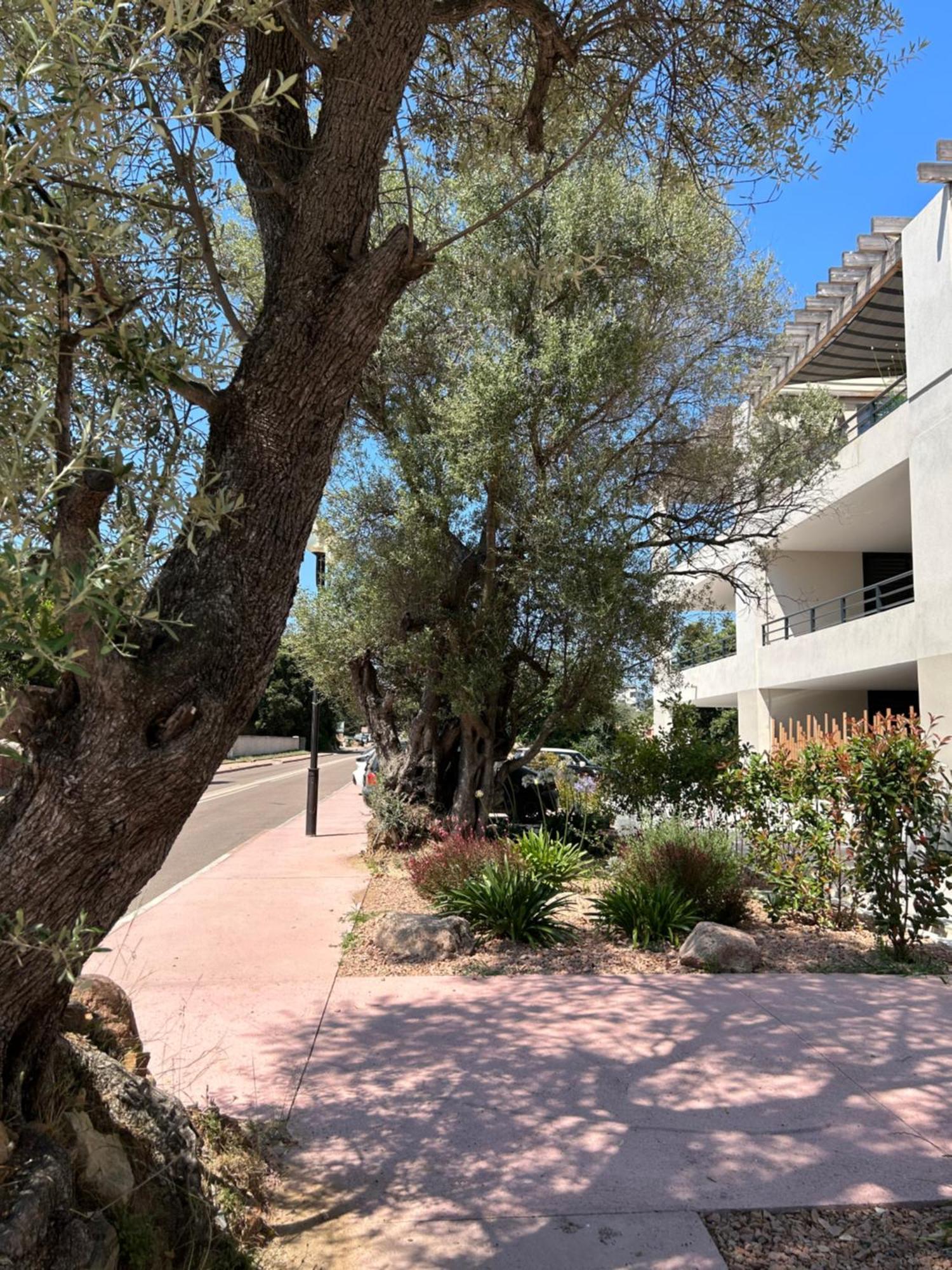 Sognu Di Serena - Superbe Appartement Avec Parking Gratuit Sur Place 포르토베쉬오 외부 사진